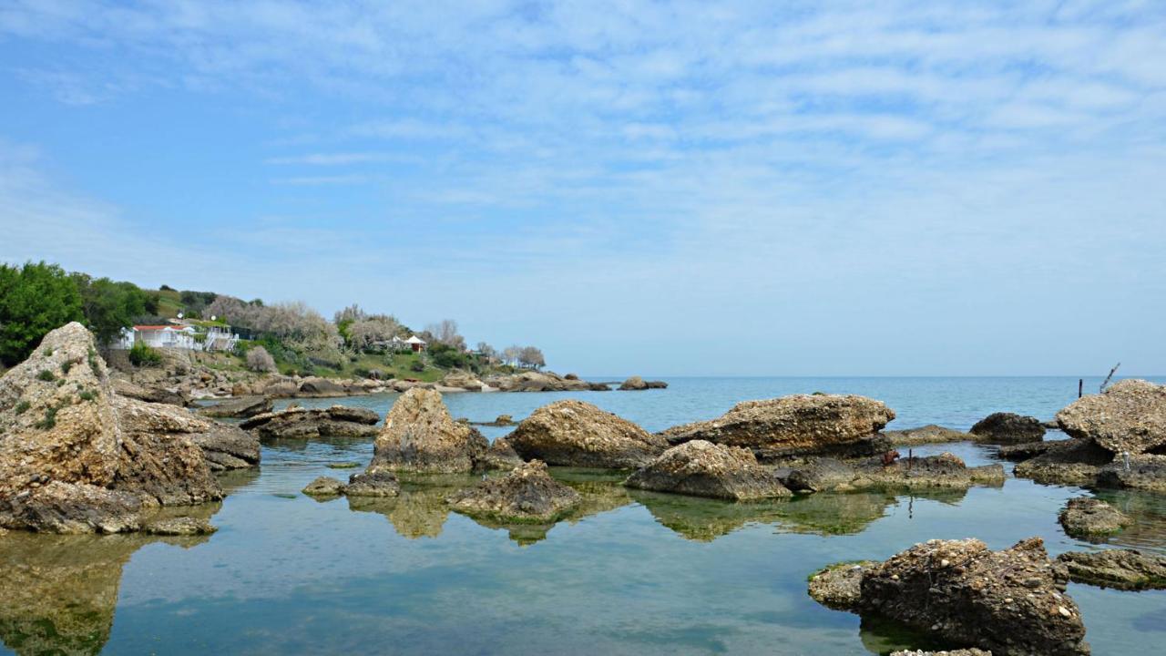 Al Faro Bianco B&B E Residence Con Parcheggio Vasto Bagian luar foto